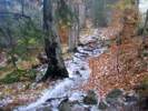 Foto: Waldboden, mit Graupel bedeckt. 