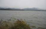 Foto: Sturm und Regen am Hopfensee