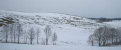 Foto: der Schnee hat schon Lcken