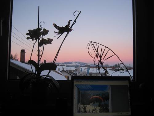 Bild