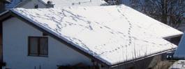 Foto: Tierspuren auf schneebedecktem Hausdach