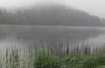 Foto: neblig am Alatsee