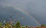 Foto: Regenbogen