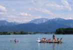 Foto: belebte schwimmende Insel im Forggensee