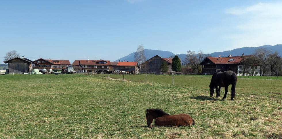 Foto: Gisela Laudahn